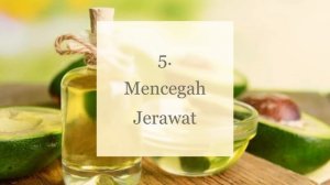 Manfaat Minyak Alpukat🥑 (Avocado oil) untuk kecantikan👍