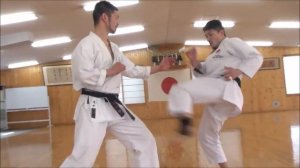 Rikiya Iimura - Ryosuke Shimizu (Honbu Dojo JKA)