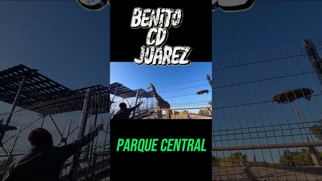 jirafa benito Cd Juarez