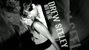 Into The Fire - Drew Seeley