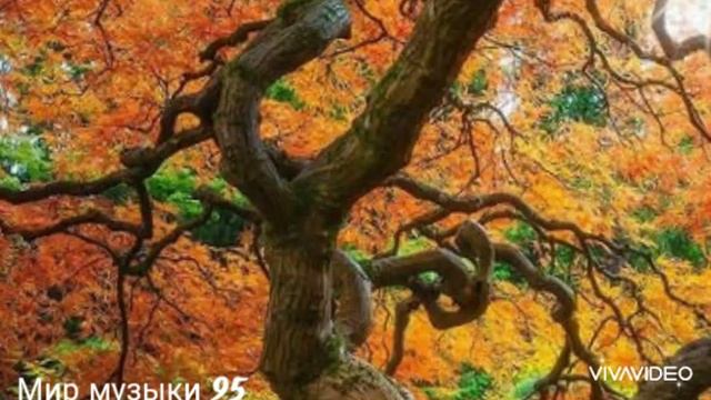 старая песня 2005г смотреть онлайн