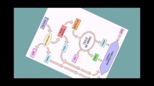 CICLO DE KREBS Y LA FOSFORILACIÓN OXIDATIVA