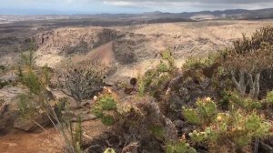 Aborigien  in Gran Canaria