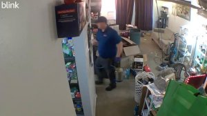 RAW: Bed Bug Fumigation (3/26/2024)