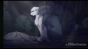 коты воители песня "Дарк сайд"