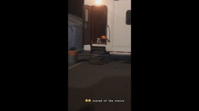 Vanessa Morgan (+BTS Riverdale) - September 12-28, 2019 [ INSTA STORIES ] смотреть онлайн