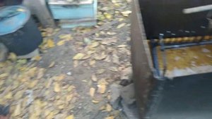 Проварка деталей улья и целых корпусов!