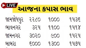 kapas na bhav | 27-09-2023 | કપાસના ભાવ:2023 | Information about cotton crop price | commodity tren