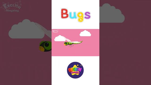 Kids vocabulary - Bugs