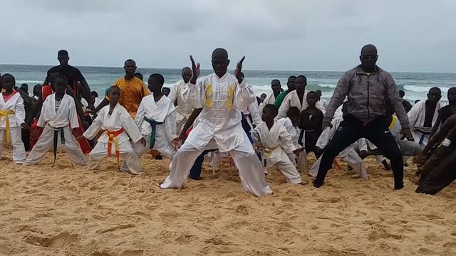 TATAMI BUDO BEACH VACANCES 2018 saison 6. Me Marcel GOMIS du WUSHU Sénégal en action. Dim 09 sept 1 смотреть онлайн