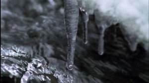 Исполинские саламандры.