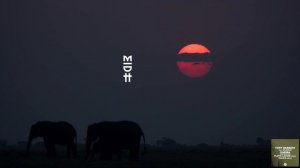 Tony Barbato & Oluhle - Kariba (Floyd Lavine Remix)