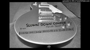 Marcelo Donati - Slowing Down Condor