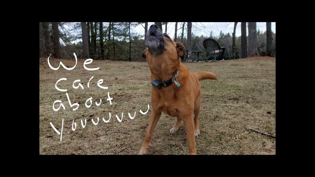 "Friends" parody video by the URI Counseling Center смотреть онлайн