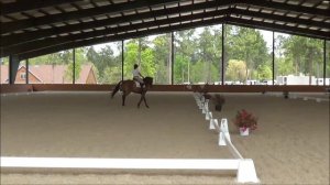 Kattie Cummings Dressage Stable view