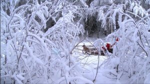 Santa Claus & The most successful Arctic Lapland Rally driver ever Juha Salo - The Power of Reindee