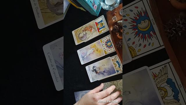 TAURO DICIEMBRE 2019