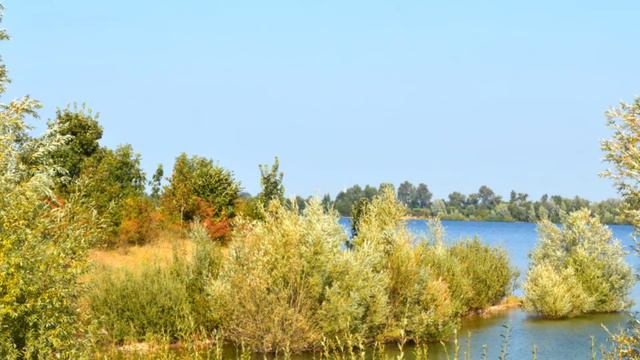 Auf der Heide blühn die letzten Rosen! смотреть онлайн