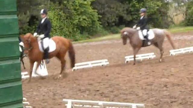 Marielle und Merlin (Egelsbach) смотреть онлайн