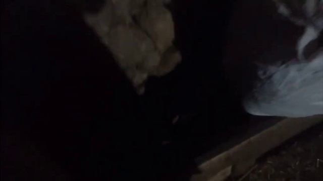 köyde durmak yok günlük işler yapılmıştır.. #vlog смотреть онлайн