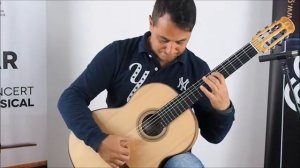 Detailed review of a Dieter Hopf Auditorium model www.concert-classical-guitar.com