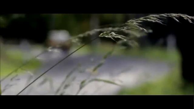 10-те най-продавани коли в историята смотреть онлайн