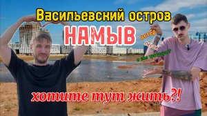 Намыв Васильевского острова. Хотели бы вы тут жить?