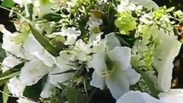 Bessame Mucho смотреть онлайн