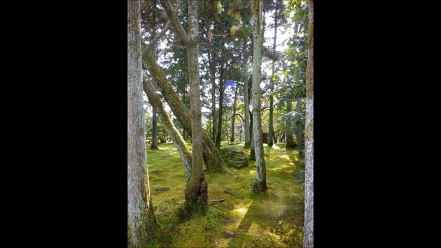 Shin Sasakubo & Daisuke Aoki、１ смотреть онлайн