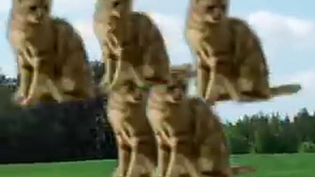 [RYTP] Shooting PoleDrive (Ft Макс) смотреть онлайн