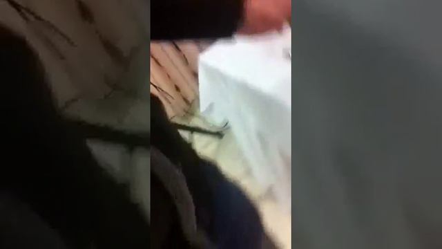 Leonard de la buzau percutia смотреть онлайн