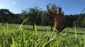 Шаолинь Чан Гун Роу Цюань (Мягкий кулак)💮Мастер Shi Heng Yi🙏🛕Shaolin Temple Europ