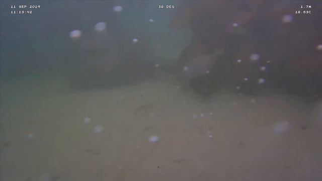 Trident Sep 11 111426 HQ смотреть онлайн