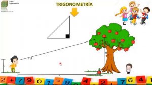 Trigonometría para primaria - Definición y ángulo trigonométrico