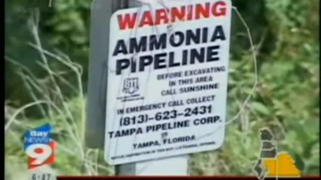 Bay News 9 Covers Bilirakis Homeland Security Hearing in Plant City смотреть онлайн