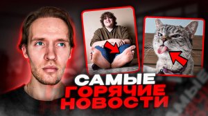 ТОП 10 НОВОСТЕЙ!Парень с самыми большими ногами в мире...Кошка-миллиардерша по кличке Нала.