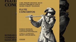 Concerto for Flute & Oboe in B Minor, FaWV L:h1: III. Allegro