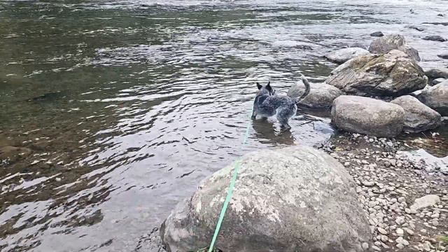 Andersen Hitch Install and Review, Gnocchi DISASTER, Eggs Benedict смотреть онлайн