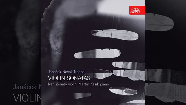 Sonata for Violin and Piano in D minor - Andante cantabile