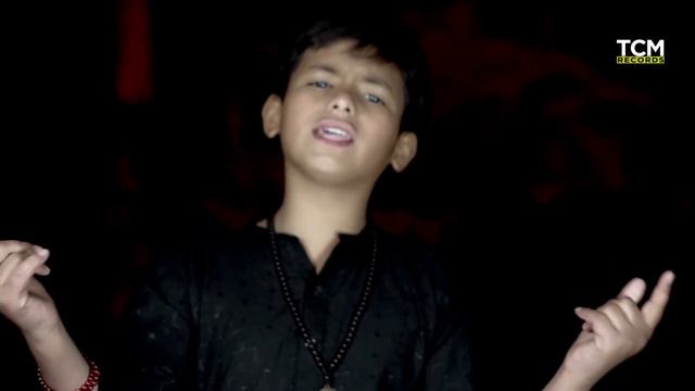 Aqib Ali Baltistani || رَو رَو کے علیؑ ، کیوں لیتے ہیں زینبؑ کا نام مصّلے پر || Mola Ali noha смотреть онлайн