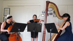 Harp, Cello & Violin Trio