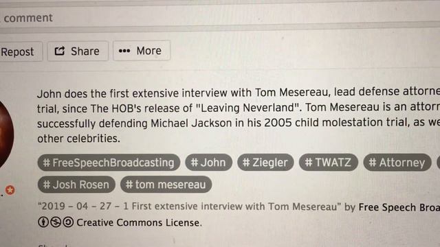 TOM MESEREAU ADMITS AN INSURANCE COMPANY DID NOT PAY MICHAEL JACKSONS MOLESTATION SETTLEMENTS