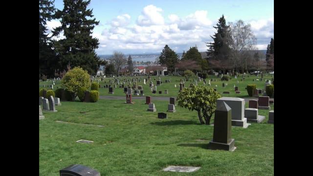 9 @ 9: Cargo pants are back in style смотреть онлайн