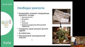 Вікторія Косач  «Вирощування клітин поза організмом: як і чому?»