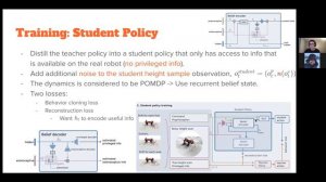 Learning robust perceptive locomotion for quadrupedal robots in the wild