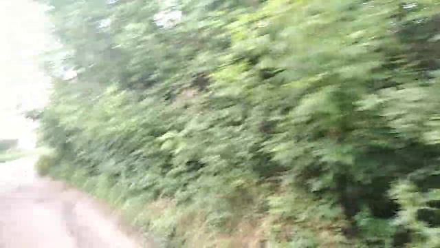 Запущенность, увиденная на малой родине (посёлок Соль, соледарская громада) смотреть онлайн