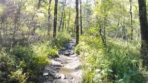 Спаск ,,Тропа тигра,,