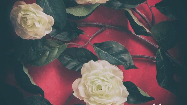 "I cover the waterfront" Debora Tamagnini смотреть онлайн