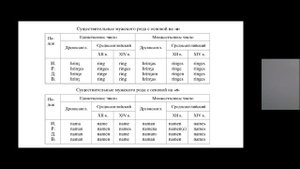 Лекция 6 20221110 СА Фонетика Грамматика
