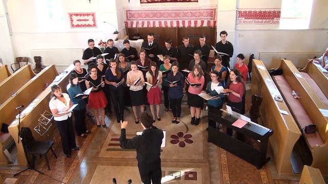 UniCante - Charles Villiers Stanford: The Blue Bird смотреть онлайн